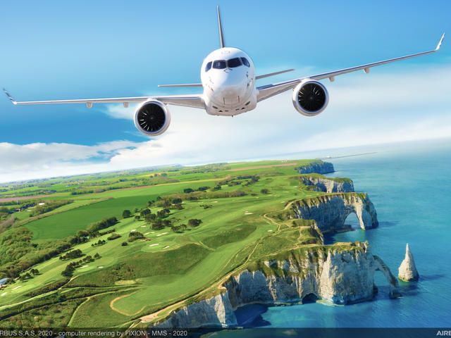 ACJ TwoTwenty - Flying view