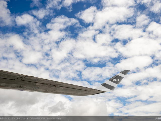 ACJ TwoTwenty - Wing tip