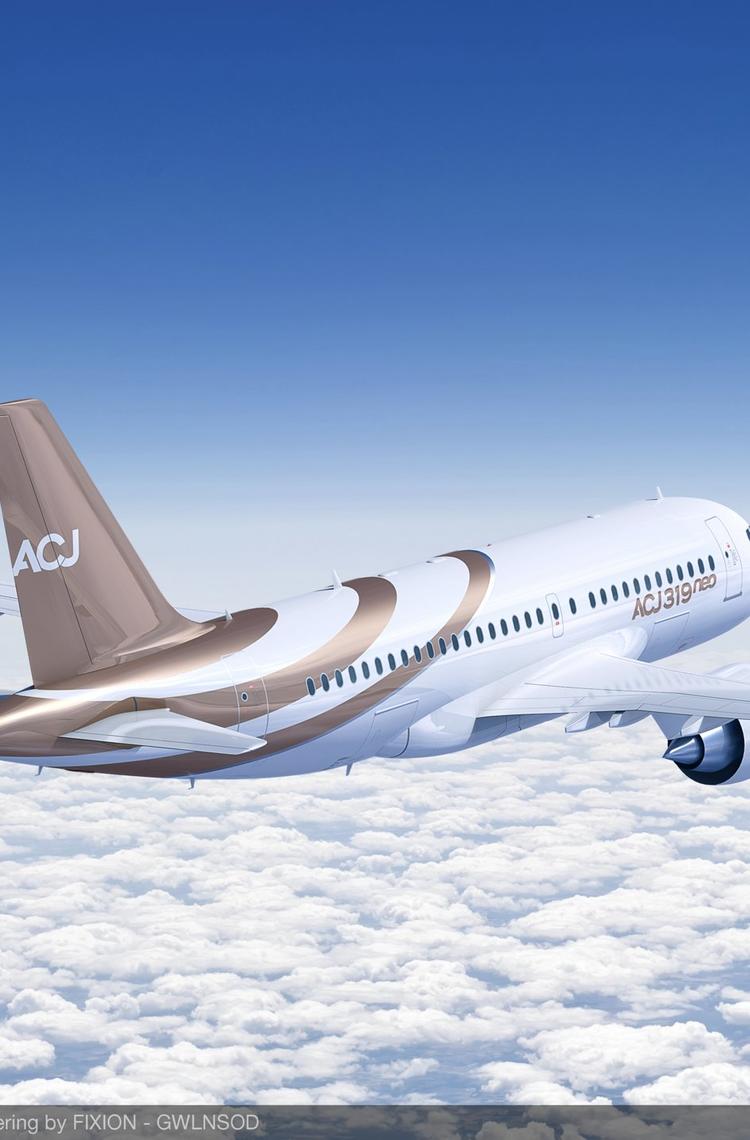 ACJ319neo.jpg ACJ319neo.jpg