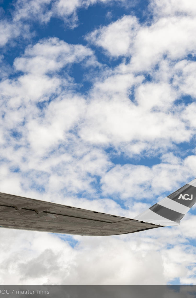 ACJ TwoTwenty - Wing tip