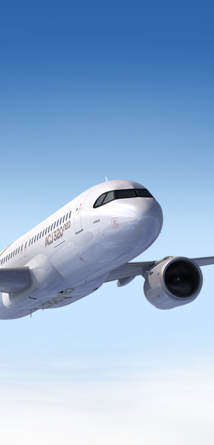 ACJ320neo header ACJ320neo in flight rendering